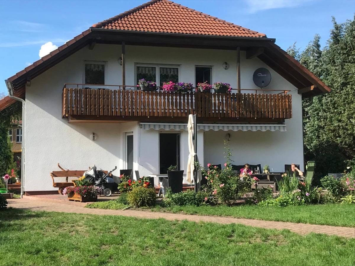 Grosszuegige Ferienwohnung Am Waldesrand Im Seenland Lauta Екстериор снимка