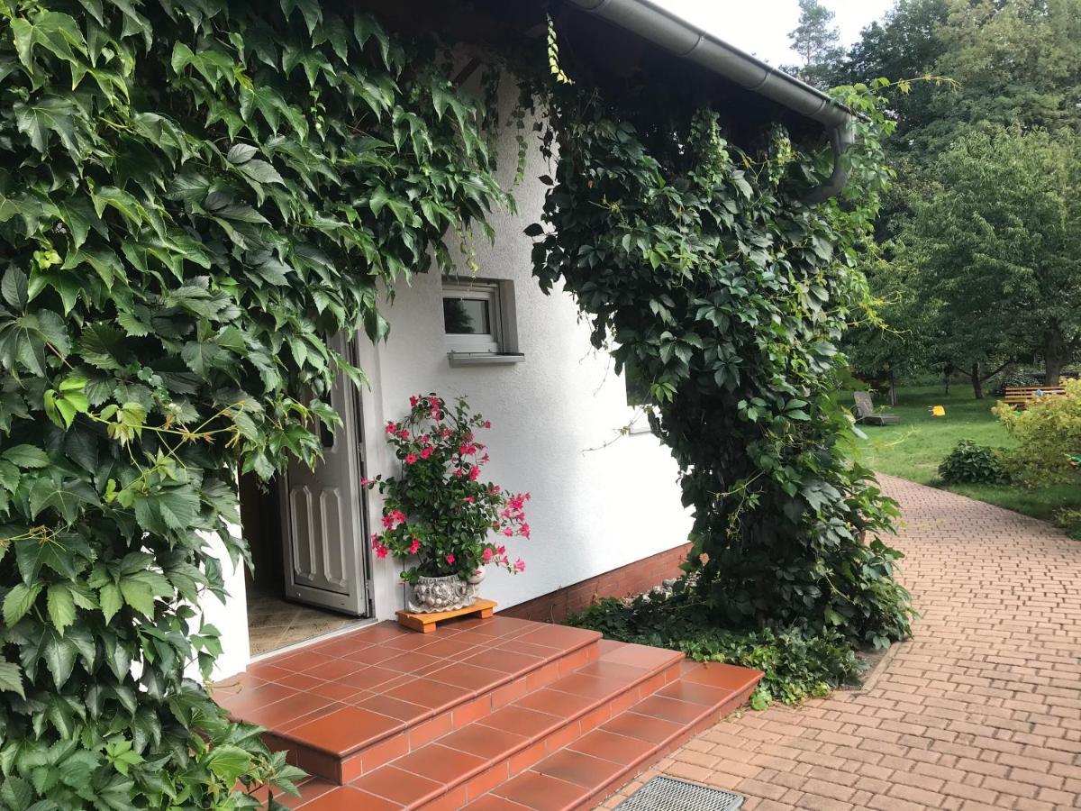Grosszuegige Ferienwohnung Am Waldesrand Im Seenland Lauta Екстериор снимка