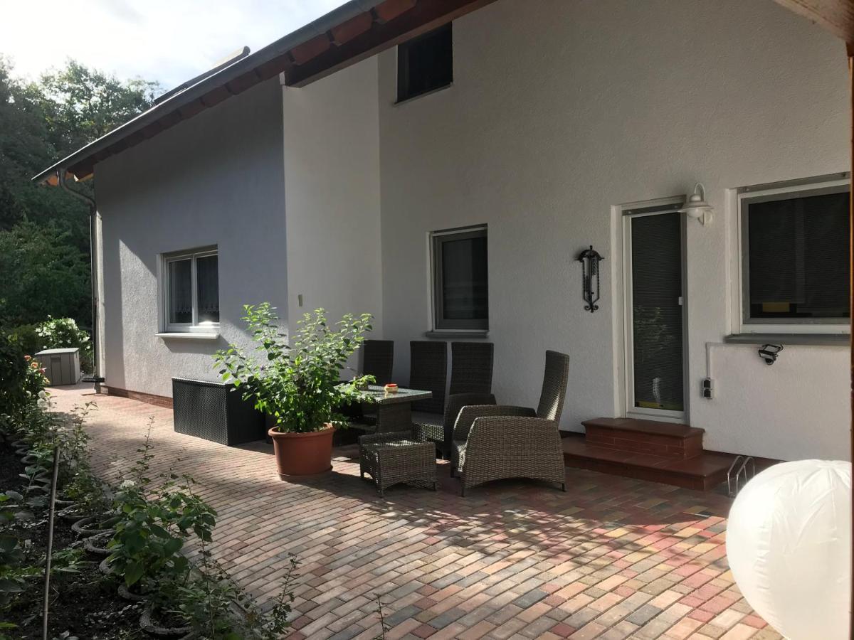 Grosszuegige Ferienwohnung Am Waldesrand Im Seenland Lauta Екстериор снимка